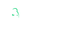 Bruno Casino logo